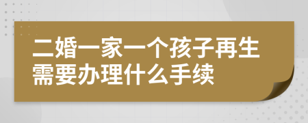 二婚一家一个孩子再生需要办理什么手续