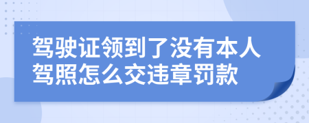 驾驶证领到了没有本人驾照怎么交违章罚款