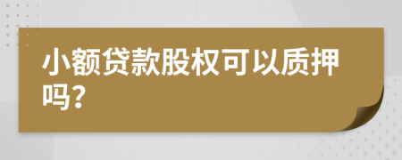 小额贷款股权可以质押吗？