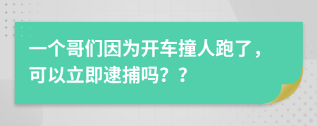 一个哥们因为开车撞人跑了，可以立即逮捕吗？？