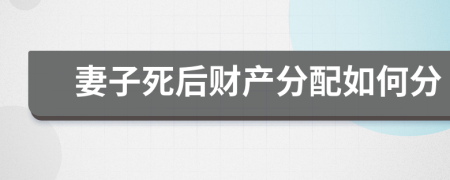 妻子死后财产分配如何分