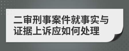 二审刑事案件就事实与证据上诉应如何处理