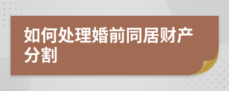 如何处理婚前同居财产分割