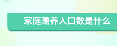 家庭赡养人口数是什么