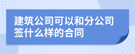 建筑公司可以和分公司签什么样的合同