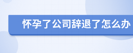 怀孕了公司辞退了怎么办