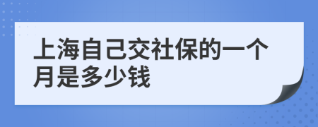 上海自己交社保的一个月是多少钱