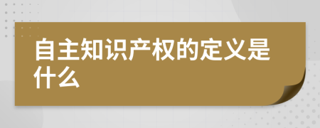 自主知识产权的定义是什么