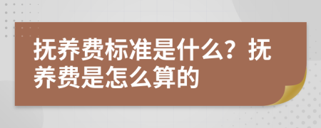 抚养费标准是什么？抚养费是怎么算的