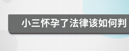 小三怀孕了法律该如何判