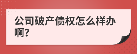 公司破产债权怎么样办啊？