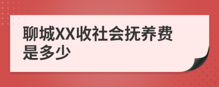 聊城XX收社会抚养费是多少