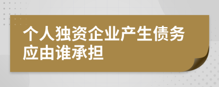 个人独资企业产生债务应由谁承担