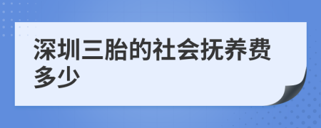 深圳三胎的社会抚养费多少