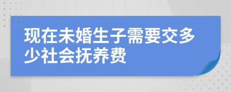 现在未婚生子需要交多少社会抚养费