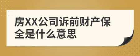 房XX公司诉前财产保全是什么意思