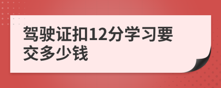 驾驶证扣12分学习要交多少钱