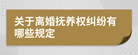 关于离婚抚养权纠纷有哪些规定