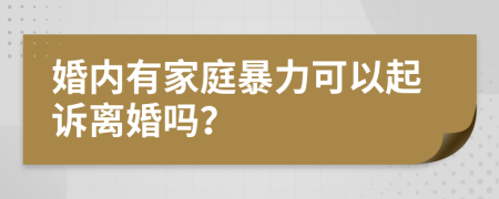 婚内有家庭暴力可以起诉离婚吗？