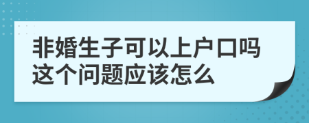 非婚生子可以上户口吗这个问题应该怎么