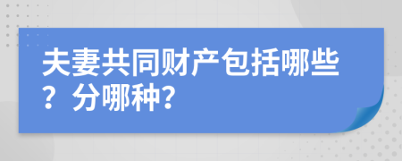 夫妻共同财产包括哪些？分哪种？