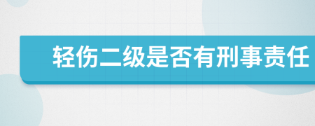 轻伤二级是否有刑事责任