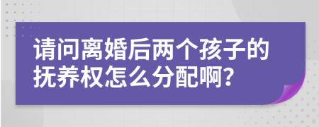 请问离婚后两个孩子的抚养权怎么分配啊？