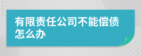 有限责任公司不能偿债怎么办