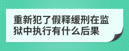 重新犯了假释缓刑在监狱中执行有什么后果