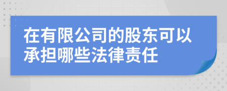 在有限公司的股东可以承担哪些法律责任