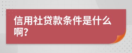 信用社贷款条件是什么啊？