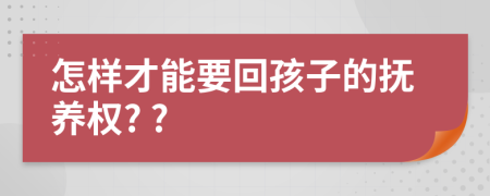 怎样才能要回孩子的抚养权? ?