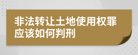 非法转让土地使用权罪应该如何判刑
