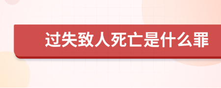 过失致人死亡是什么罪