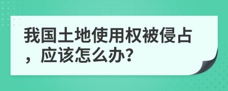 我国土地使用权被侵占，应该怎么办？