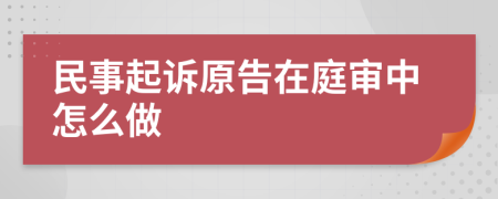 民事起诉原告在庭审中怎么做