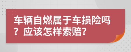 车辆自燃属于车损险吗？应该怎样索赔？