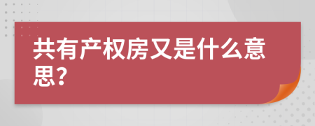 共有产权房又是什么意思？