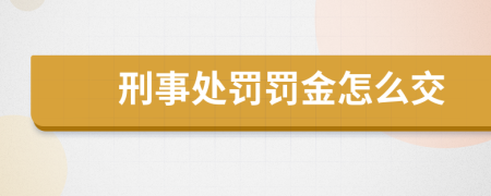 刑事处罚罚金怎么交