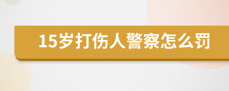 15岁打伤人警察怎么罚