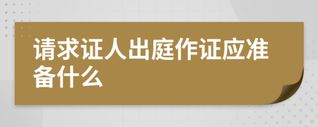 请求证人出庭作证应准备什么