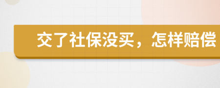 交了社保没买，怎样赔偿