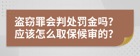 盗窃罪会判处罚金吗？应该怎么取保候审的？