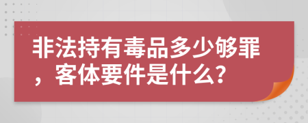 非法持有毒品多少够罪，客体要件是什么？