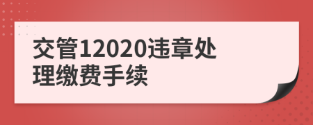 交管12020违章处理缴费手续