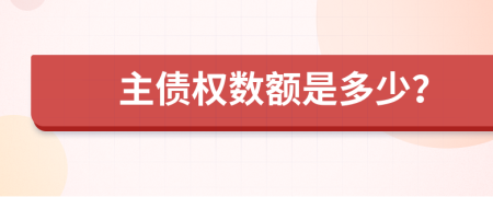 主债权数额是多少？