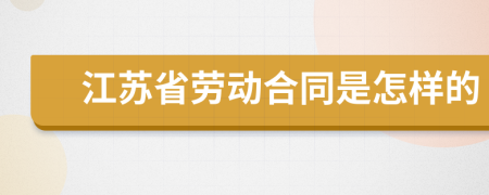 江苏省劳动合同是怎样的