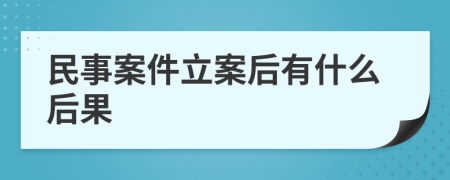 民事案件立案后有什么后果