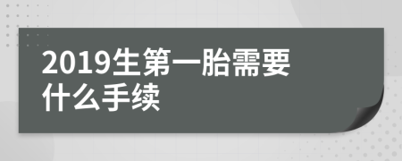 2019生第一胎需要什么手续