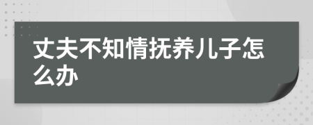 丈夫不知情抚养儿子怎么办